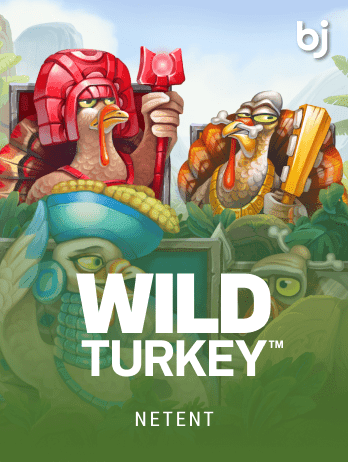 ওয়াইল্ড টার্কি game icon