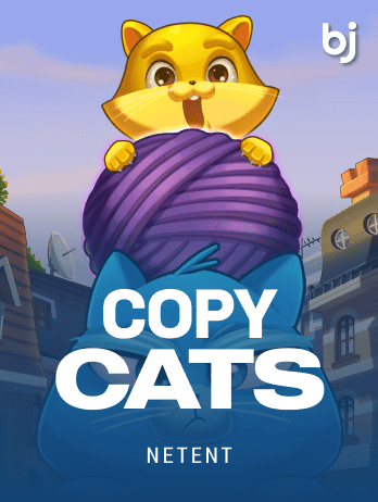 কপি ক্যাটস game icon